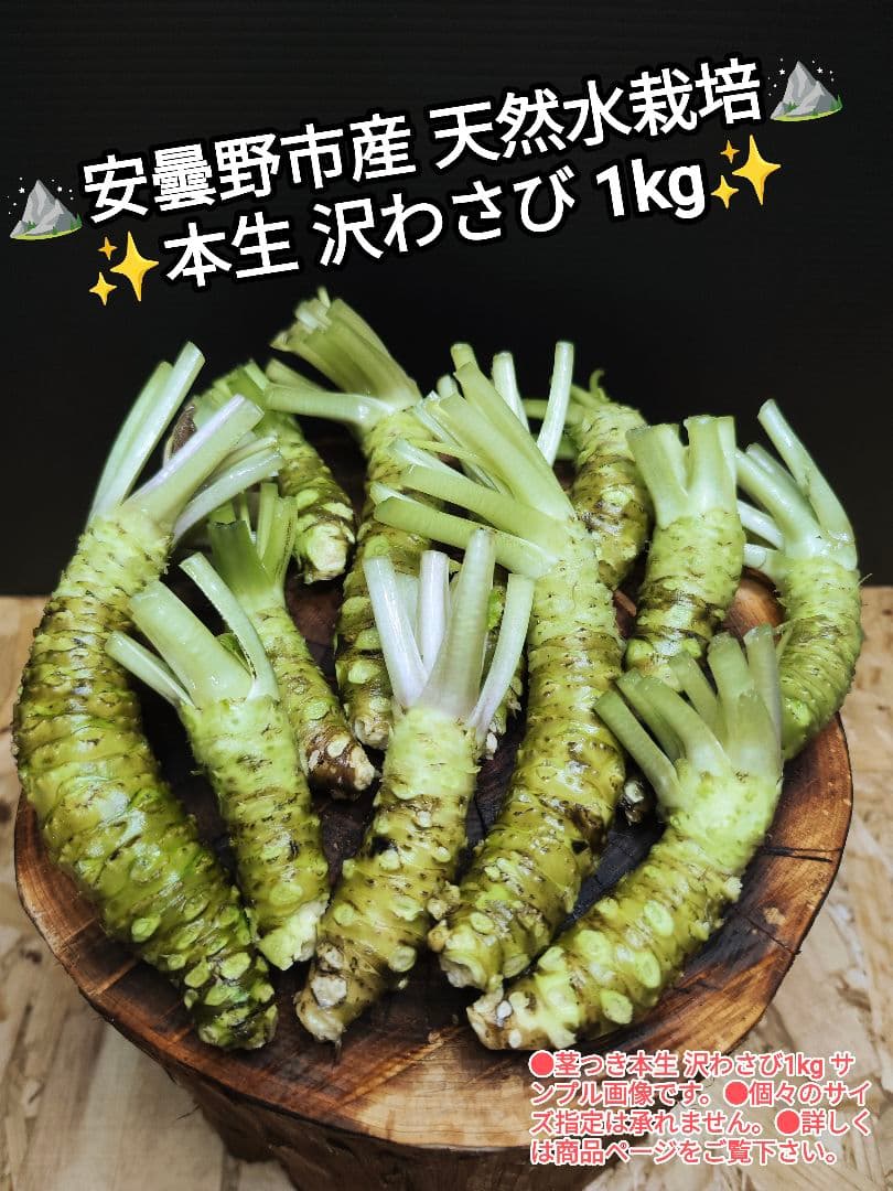 ご注文後に収穫！生わさび 1kg 安曇野産 生わさび わさび 茎付きわさび