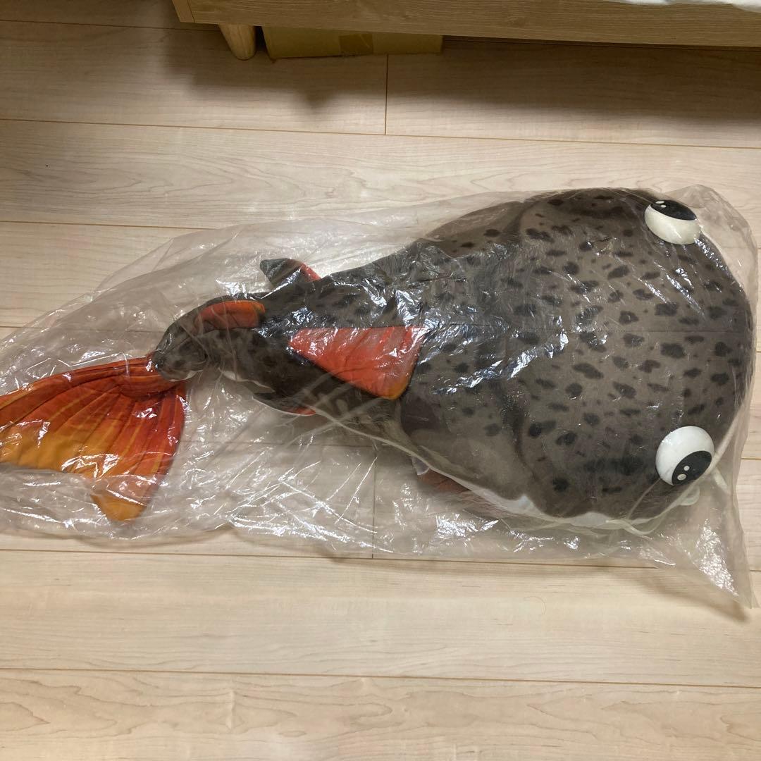 キョーリン　当選　ぬいぐるみ　レッドテールキャット