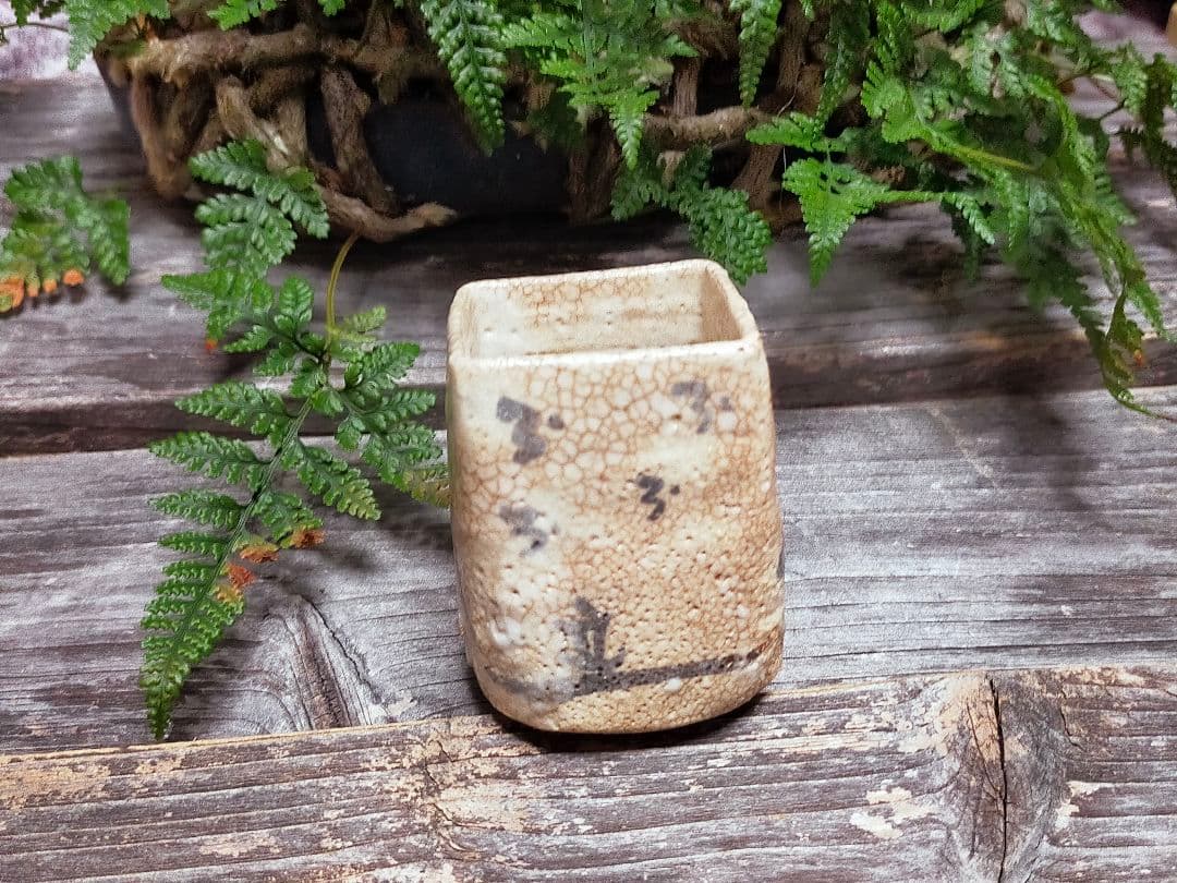 ♥絵志野　ぐい呑み　桐箱付き　⑮　志野　ぐい飲み　骨董品