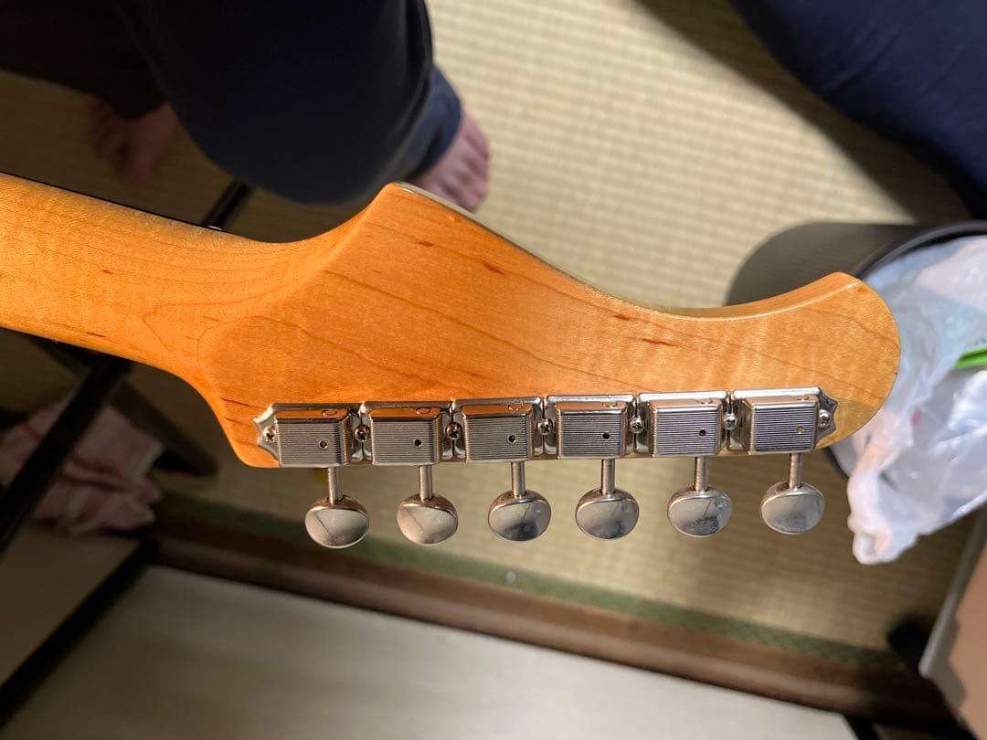 Bacchus GlobalストラトMod (ゴトーペグ、ctsポット)