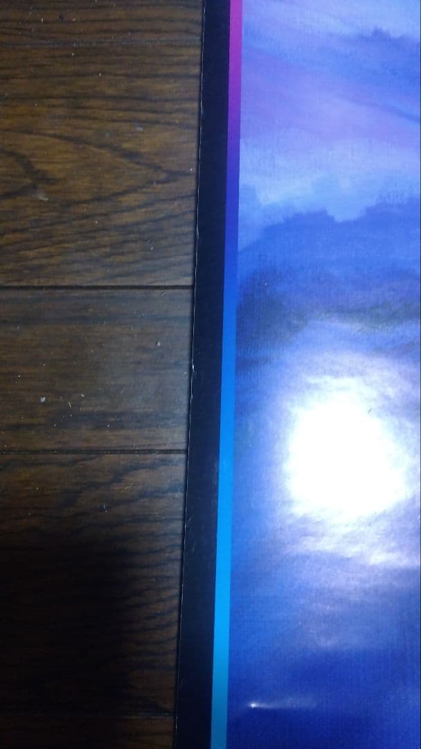 激レア品！非売品B2ポスター 「アーケード ストライダー飛竜」