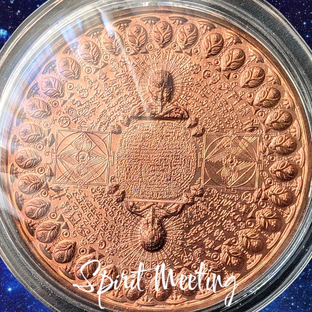 特別価格　御守り史上唯一の宇宙エネルギー　UFOエイリアン　貴重