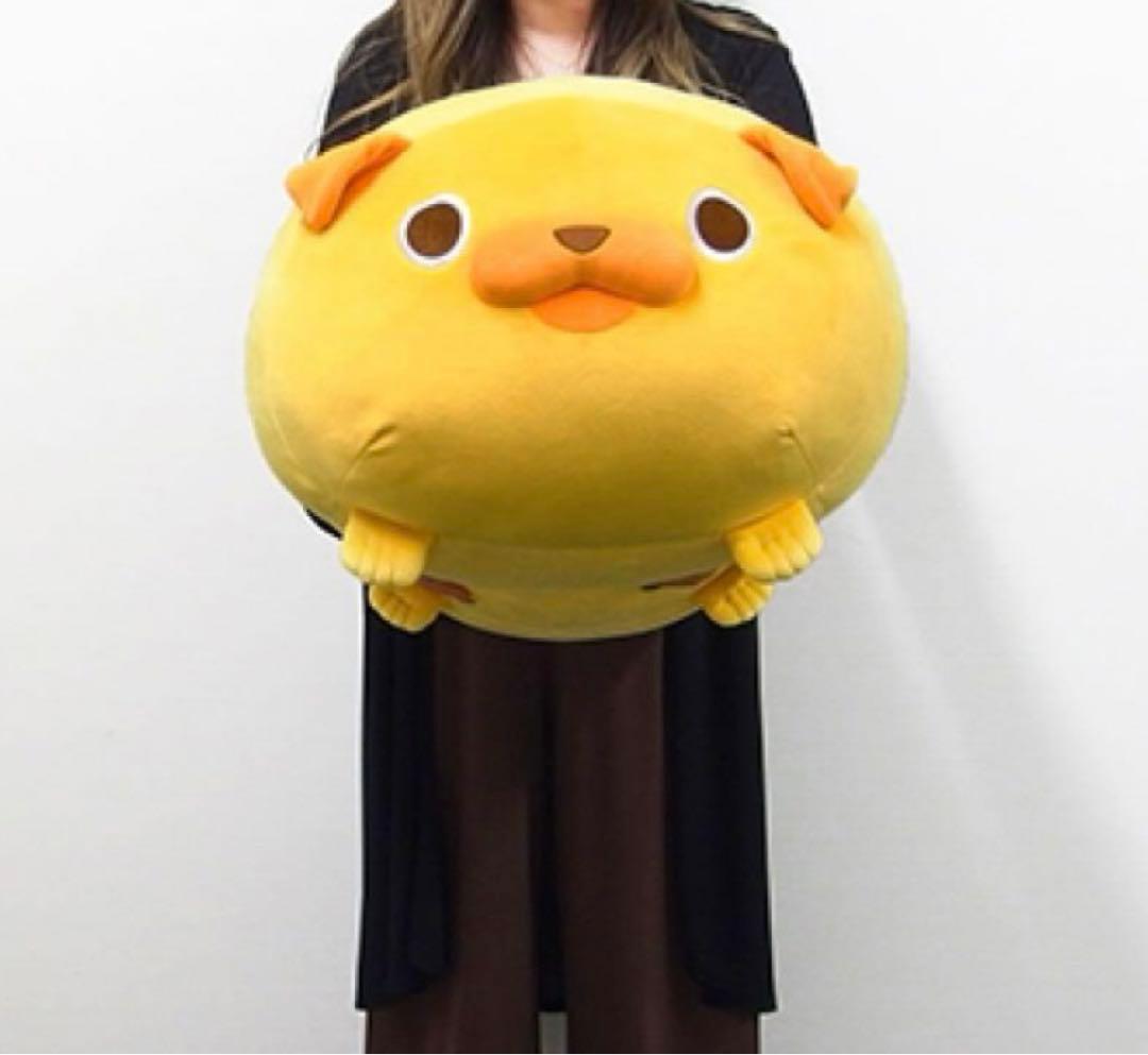 パグ太郎　特大ぬいぐるみ　日テレ