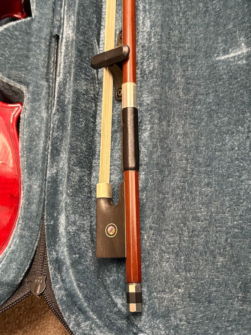 Carlo Giordano カルロジョルダーノ EV-202 エレキバイオリン