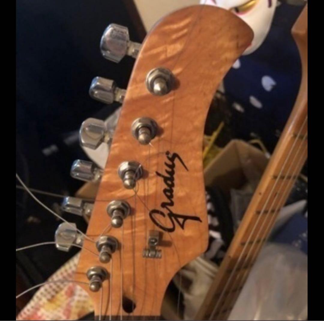 エレキギター ストラト ヴィンテージ 希少 Gradus