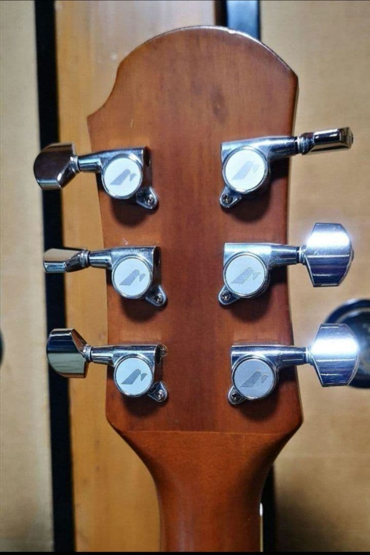 ♦️超レアギター♦️ ProMartin エレアコ EA350BLS ①