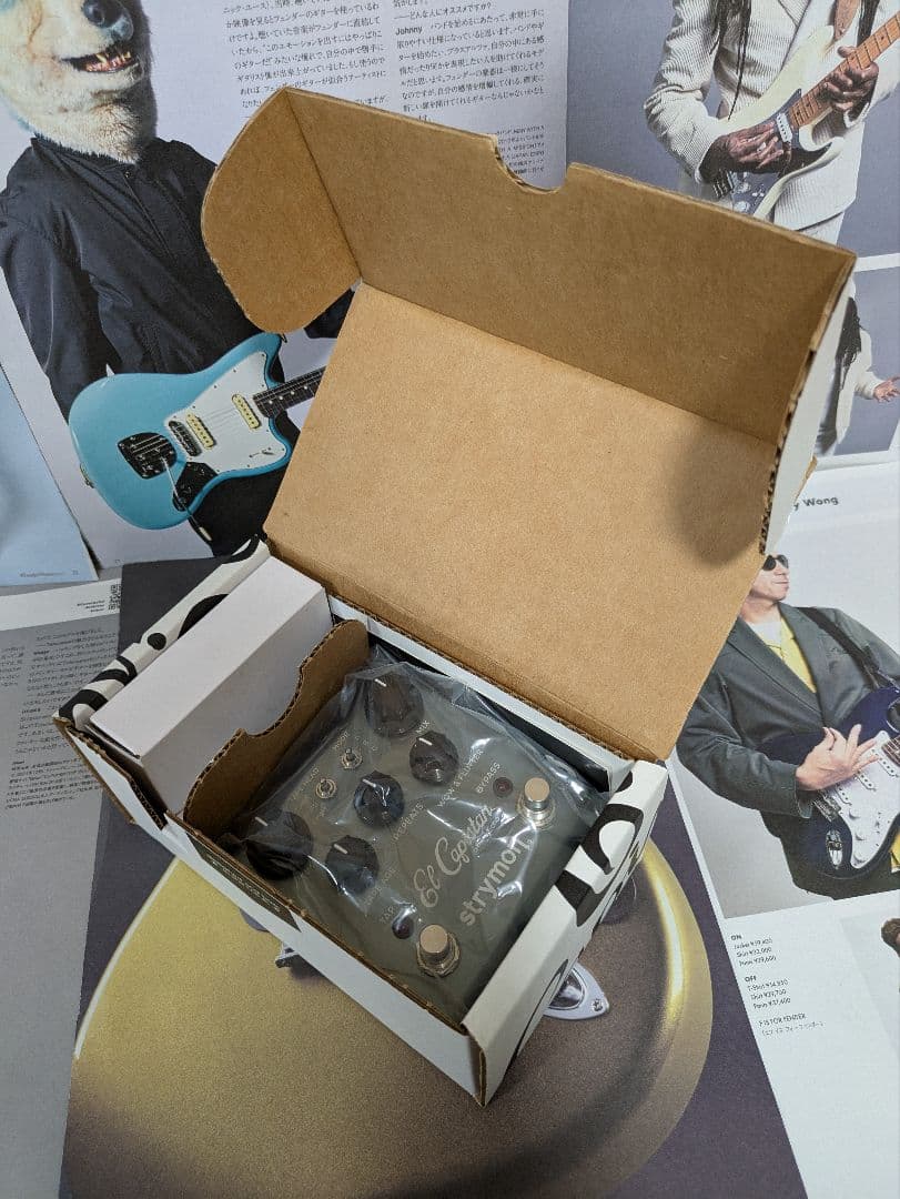 【美品】国内正規品 strymon El Capistan V1 テープエコー