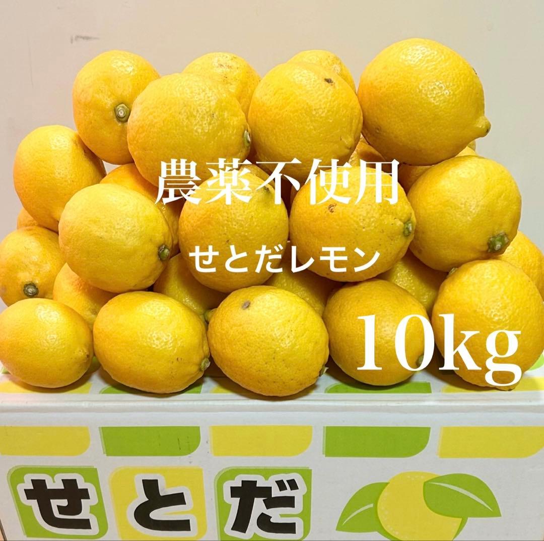 12国産瀬戸田レモン10kg前後