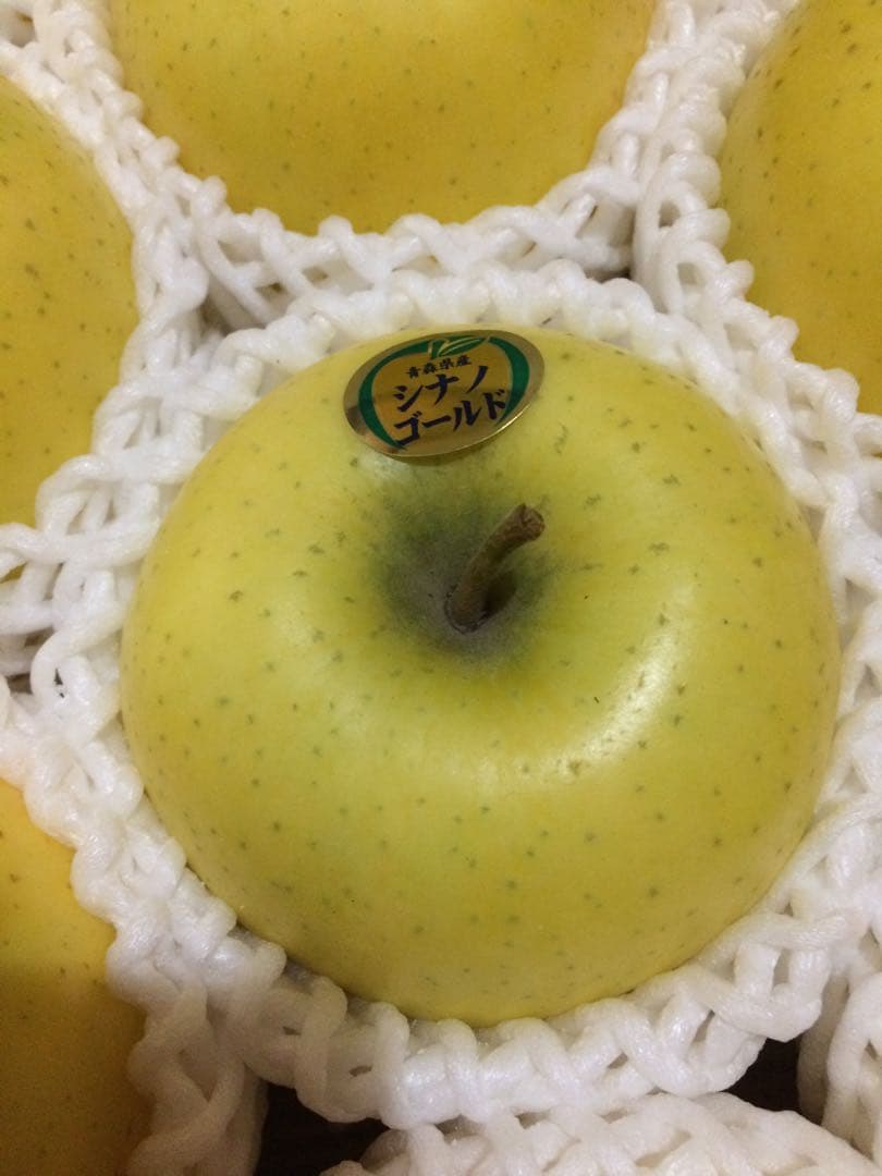 専用15キロ　九州