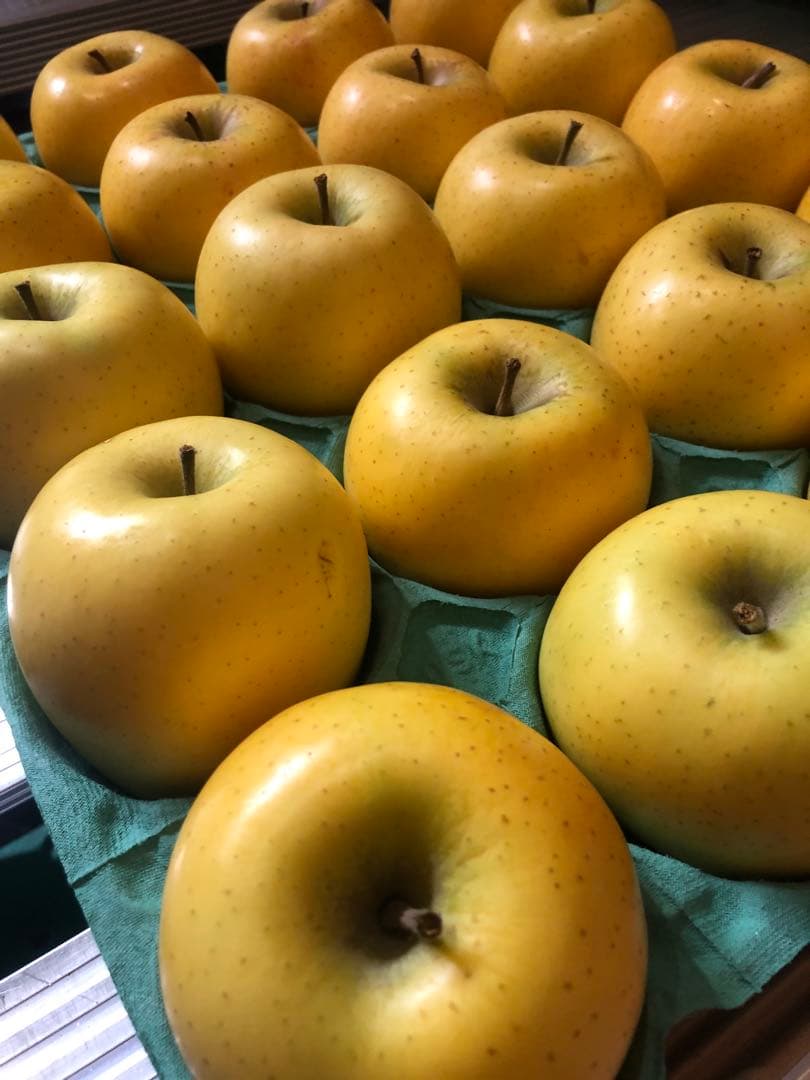 専用15キロ　九州