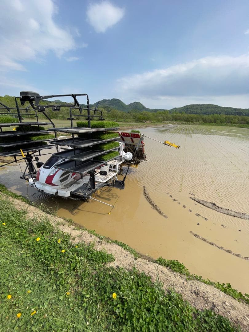新米＊ゆめぴりか＊北海道産＊農家直送＊送料込み＊美味しいお米＊5キロ×2個