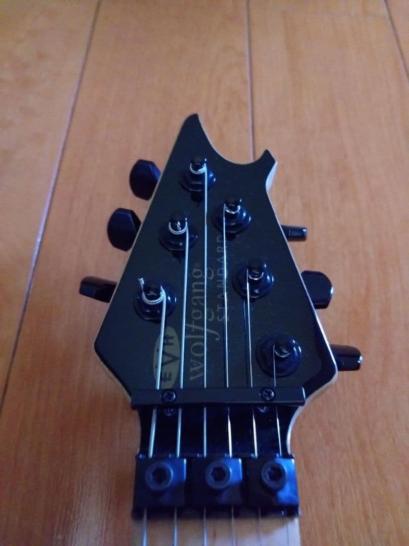 Wolfgang Standard ヴァンヘイレン D-Tune付き