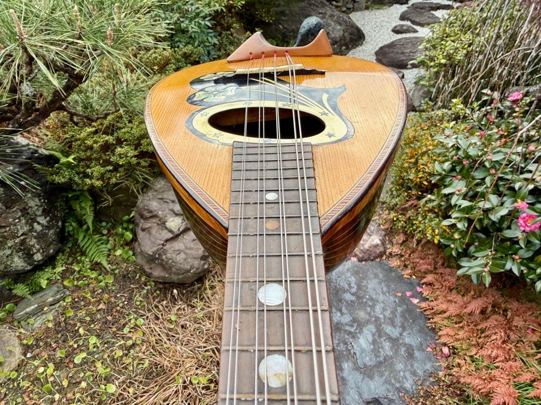 美しいイタリアのマンドリン1915年製G. Puglisi Neapolitan