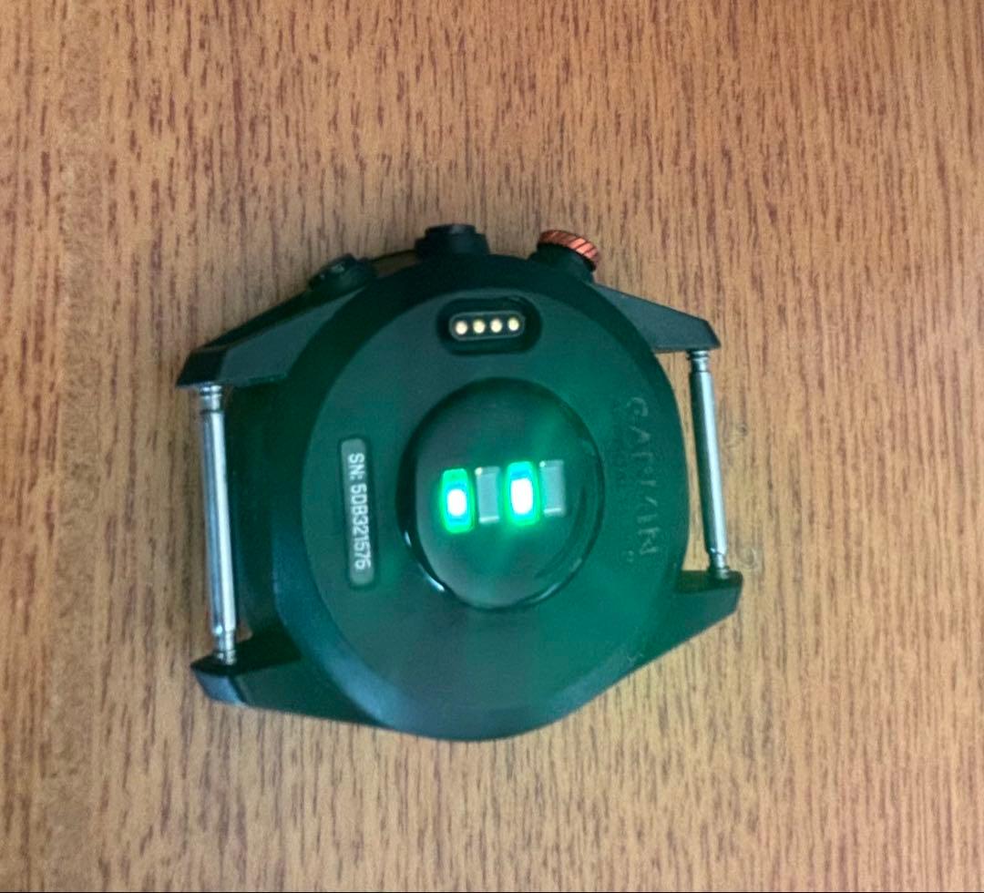 Garmin アプローチS62