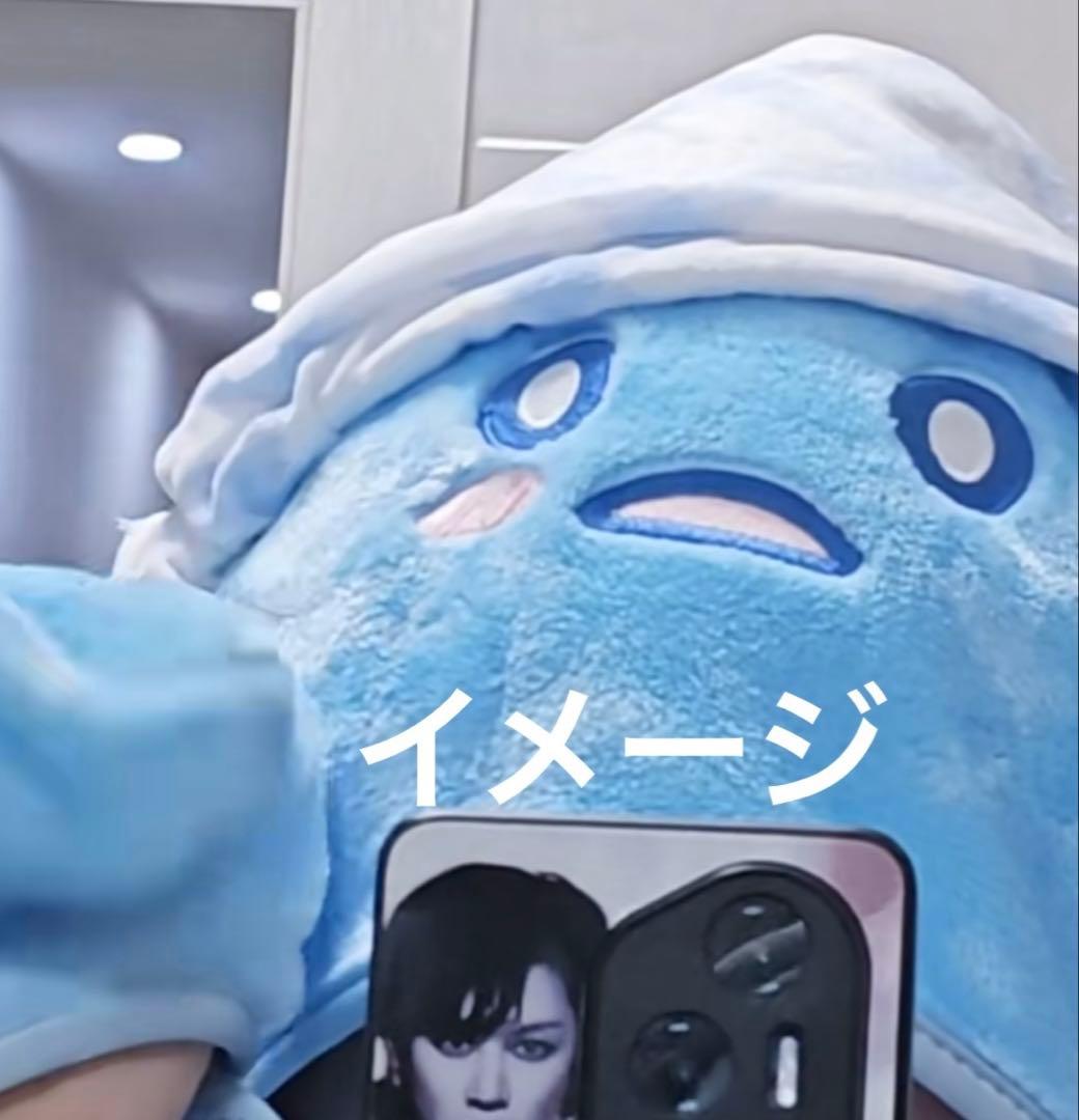 新品未開封SUPER JUNIOR SJ Market ウニョク ブランケット