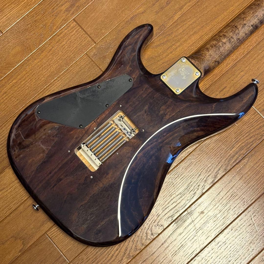 ギター Valley Arts Japan Custom Pro SRE270