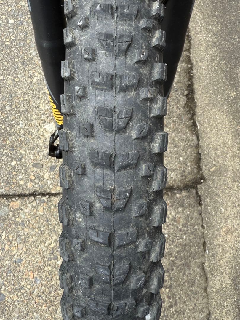 Big Honzo マウンテンバイク Lサイズ