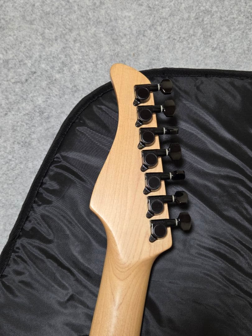 Fernandes フェルナンデス FR-125S ELITE 7弦サスティナー