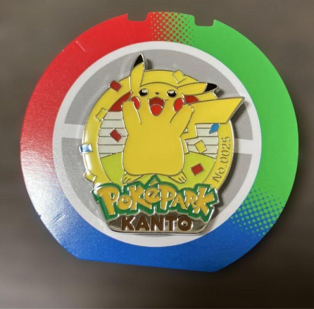 ポケパーク カントー ピカチュウ ピンズ