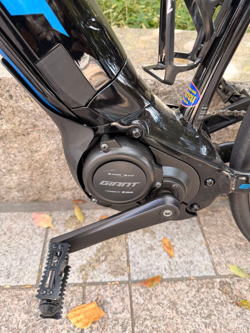 GIANT ESCAPE RX‑E+電動アシスト自転車 スポーツタイプ