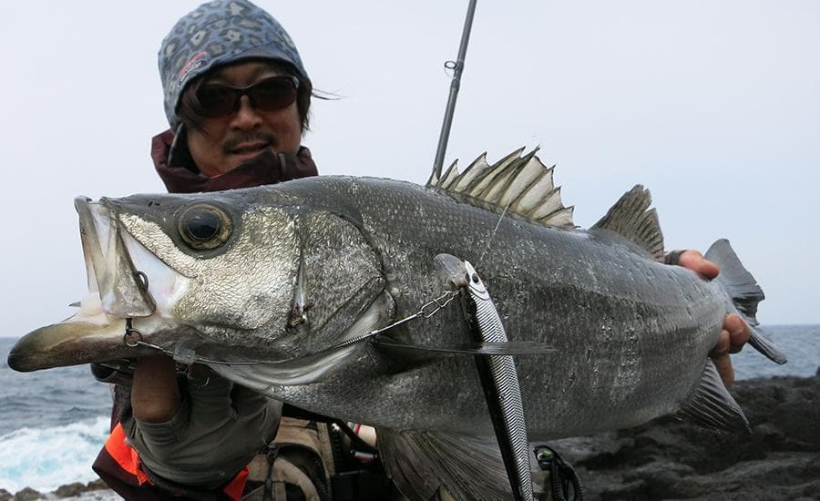 【Fishman/フィッシュマン】BRIST VENDAVAL 8.9M /*