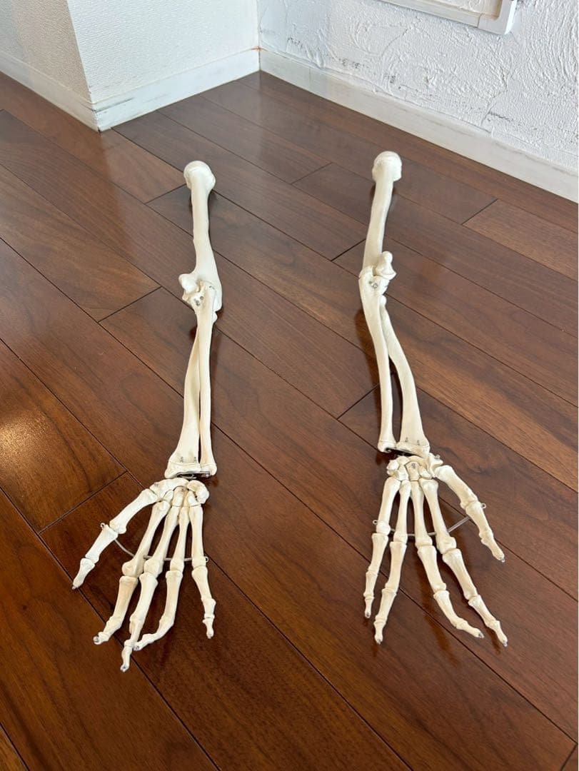 3B “スタン” 標準型骨格モデル A10 美品