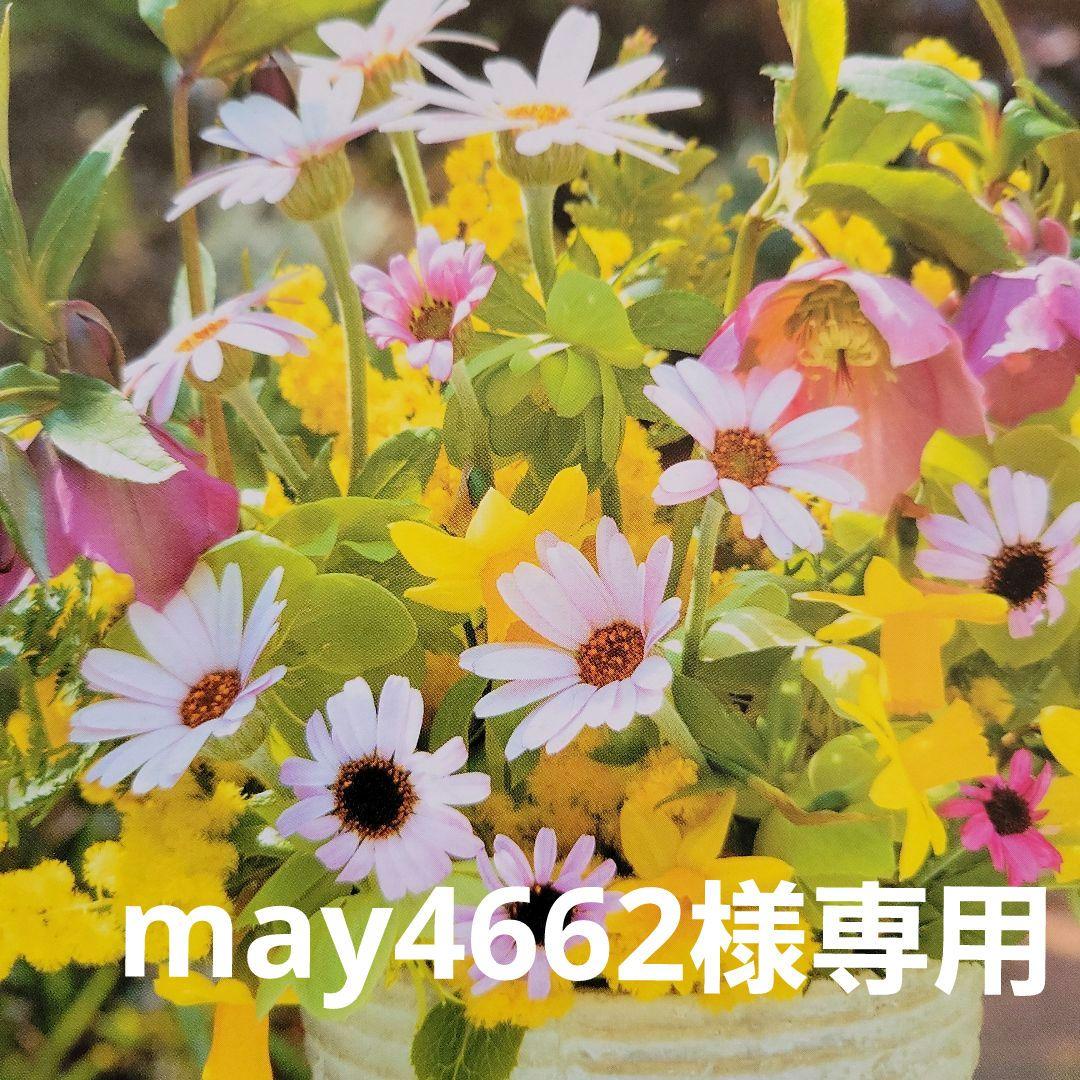 may4662　野菜