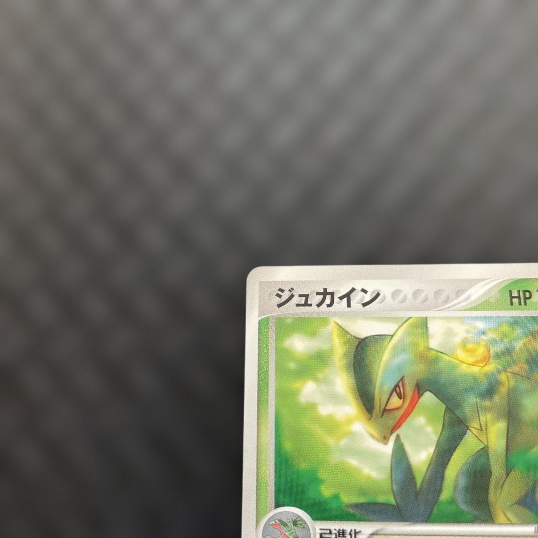 【超美品！】ジュカイン PROMO PCG-Pプロモカード 119/PCG-P