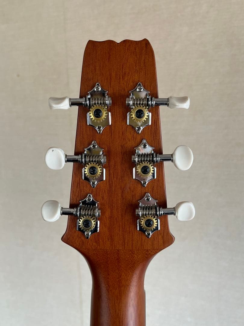 ARIA エレアコ FET-R1