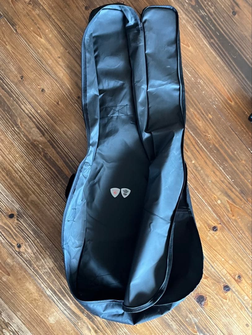 ARIA エレアコ FET-R1