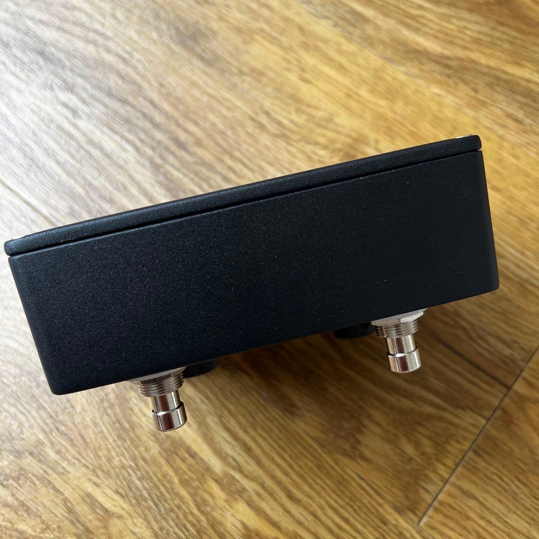 browne amplification protein クローン