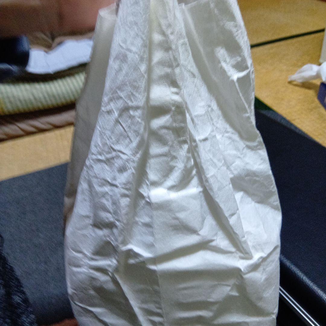 三味線 破れなし　駒・バチ・ハードケース付き