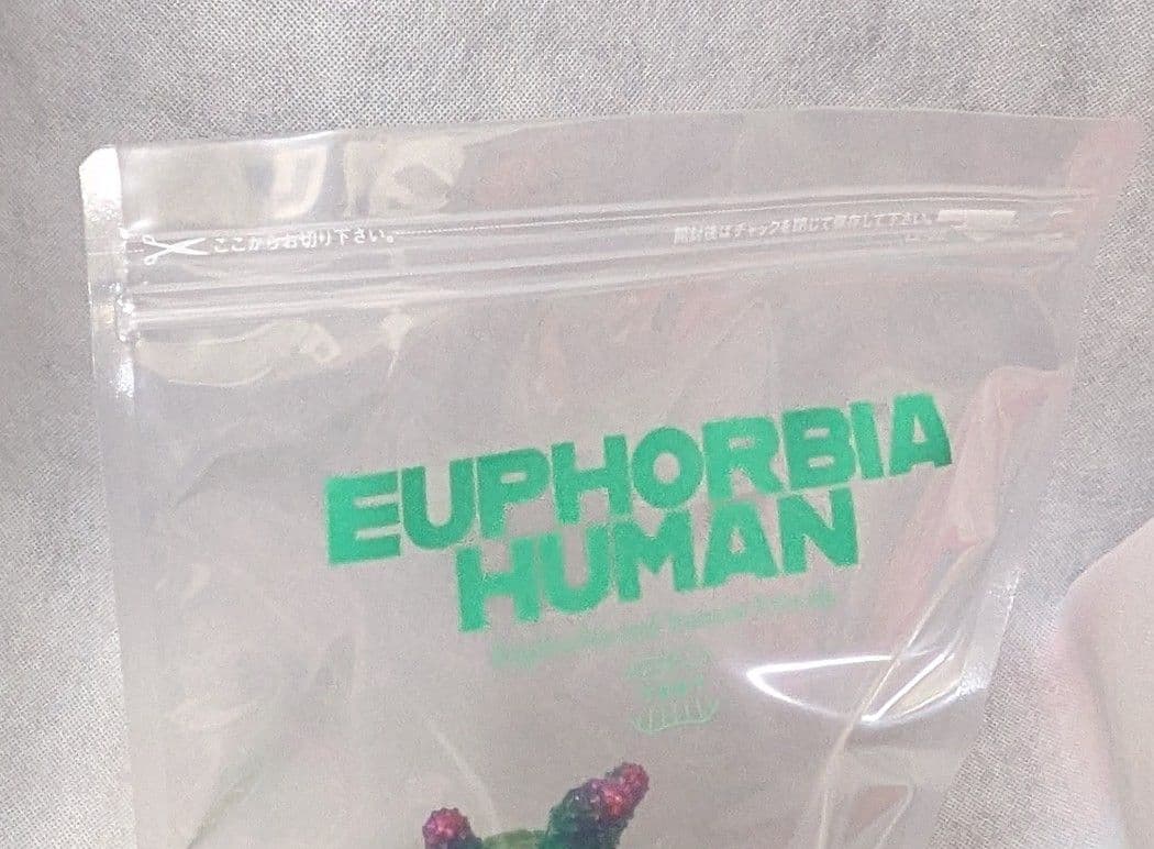 ユーフォルビア人　TOKY ソフビ 検索グラキリスちゃん