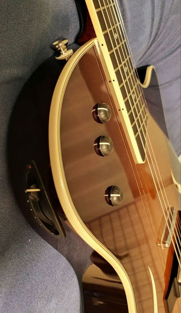 ギター Taylor guiter T5