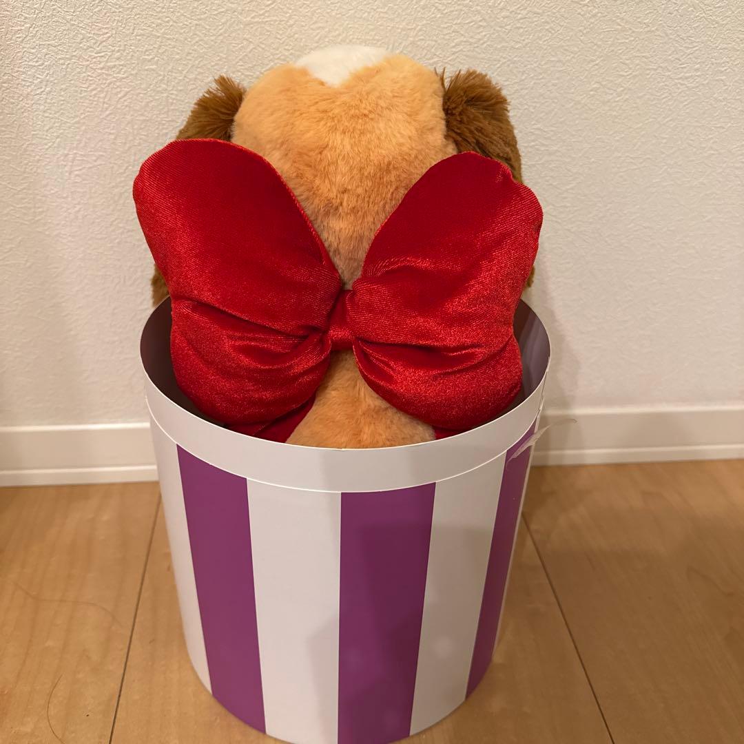 わんわん物語 70周年　ぬいぐるみ　ディズニーストア