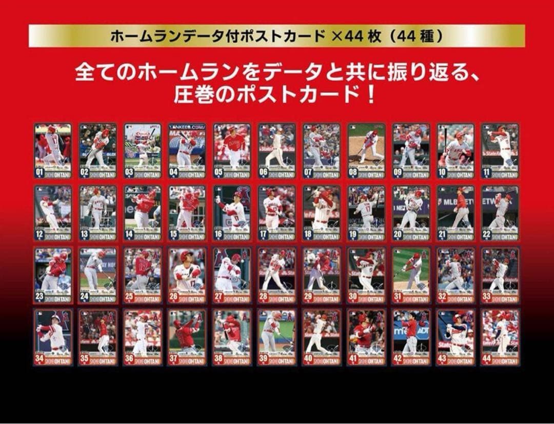 大谷翔平プレミアムフレームセット 2023ホームラン王獲得記念 エンジェルス