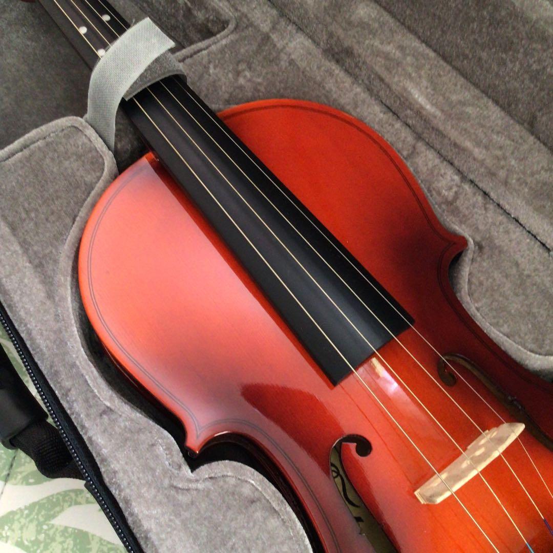 Eastarバイオリン 4/4 単板 ソリッド バイオリンセット 本体