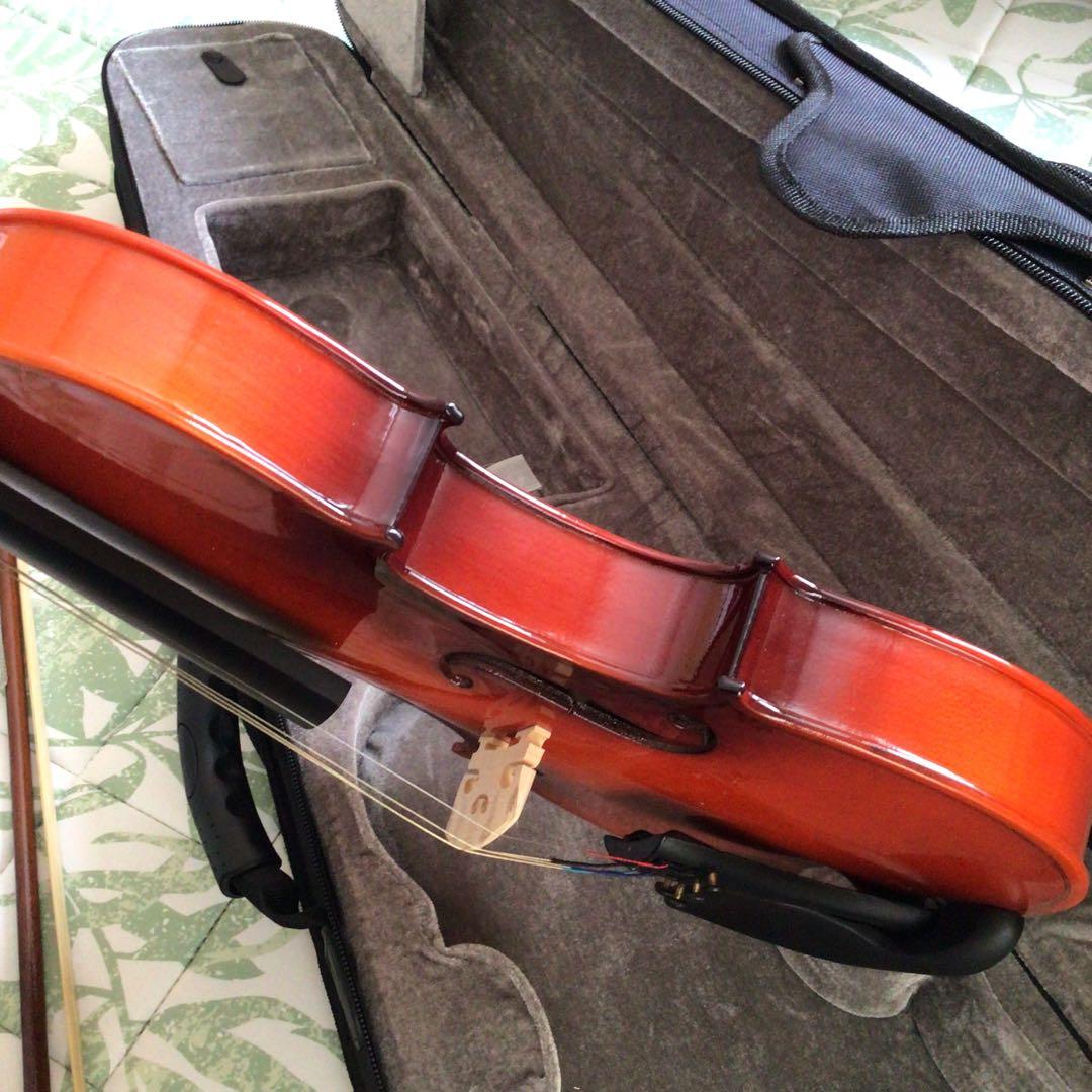 Eastarバイオリン 4/4 単板 ソリッド バイオリンセット 本体