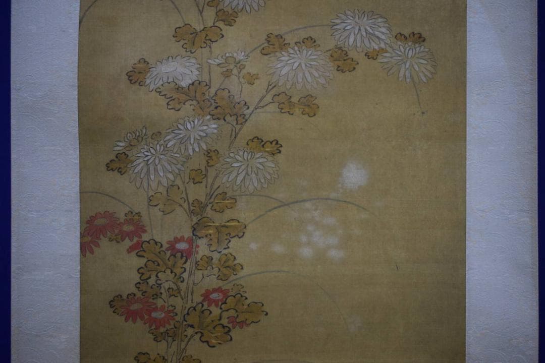 真作/狩野元仙/古画/菊画詞/布袋屋掛軸HF-239