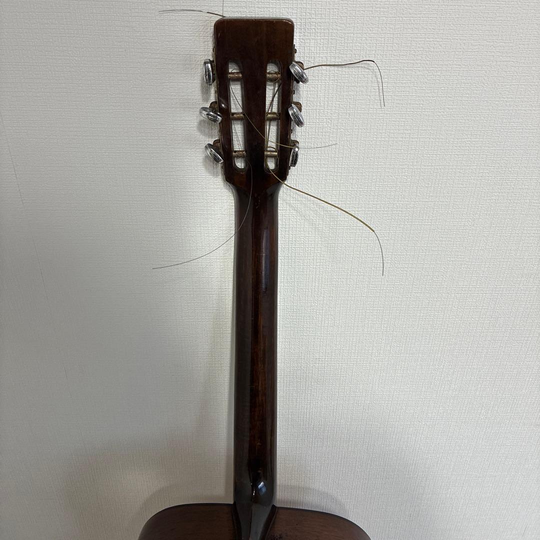 Elite アコースティックギター F1 ハードケース付