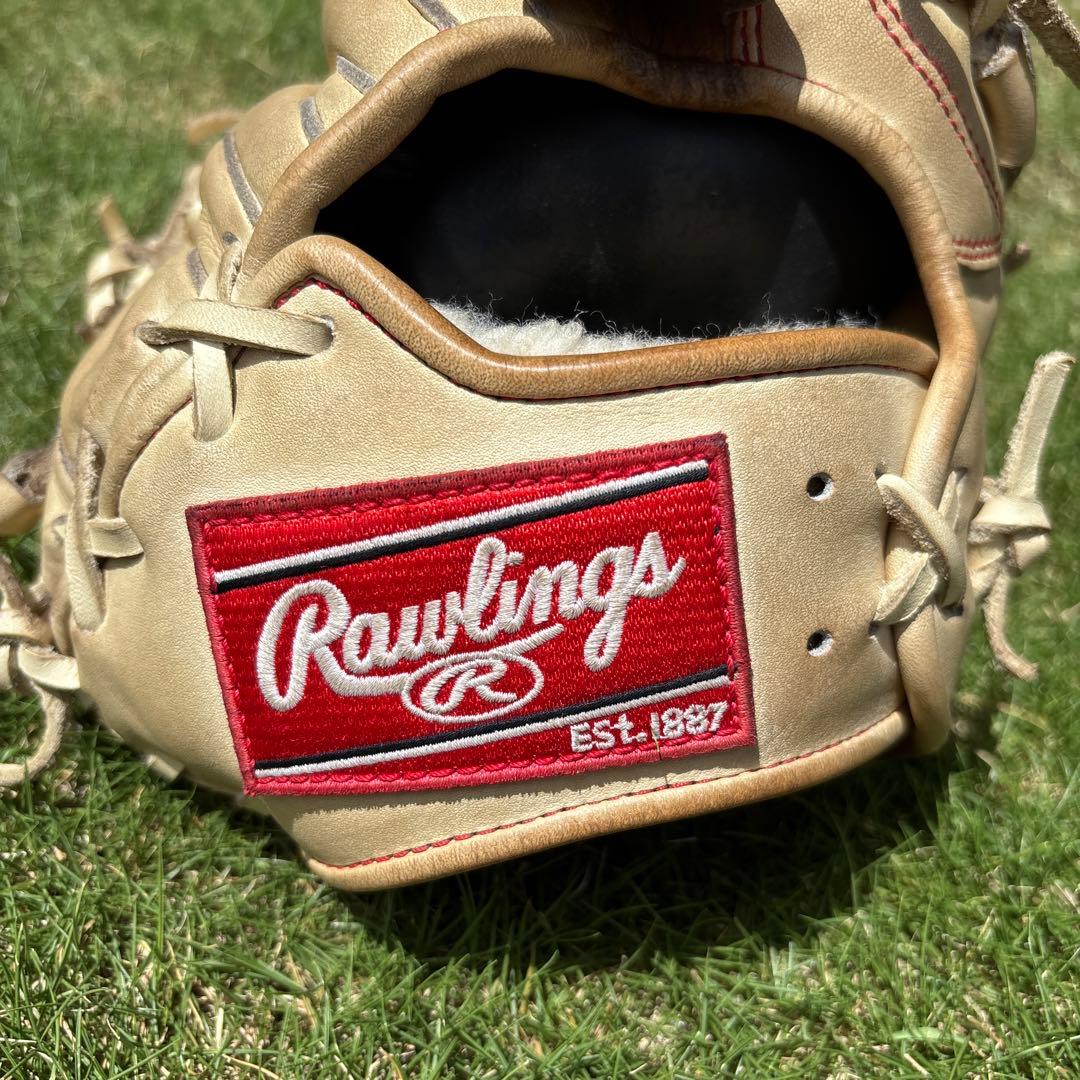 SAさん専用Rawlings Gold Glove