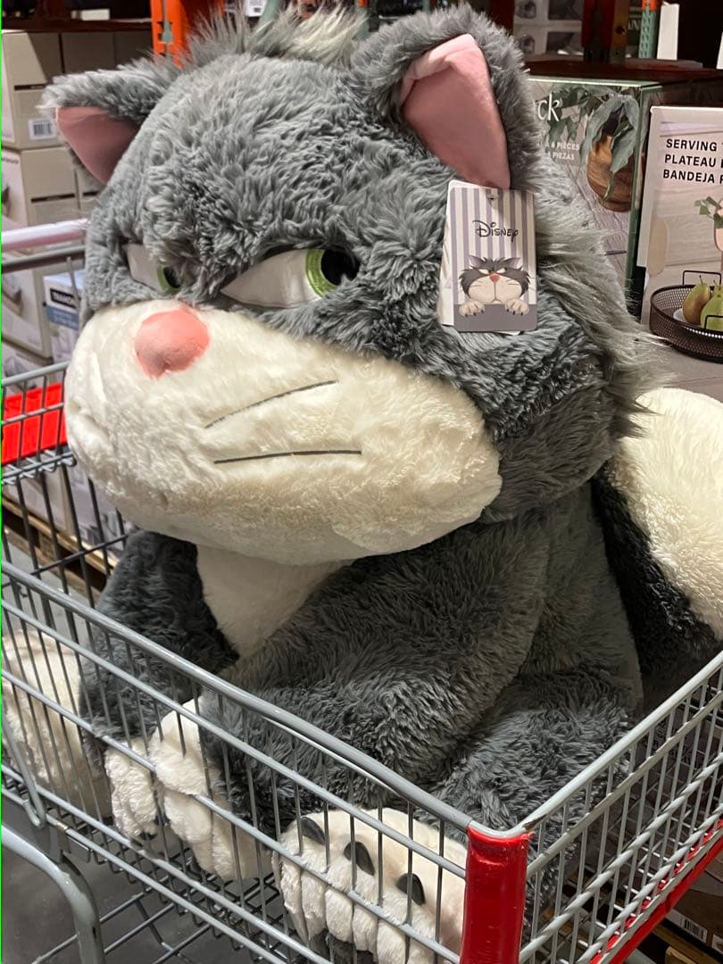 コストコ　ルシファー　特大　ぬいぐるみ　ブランケット付き プレゼント ラスト1