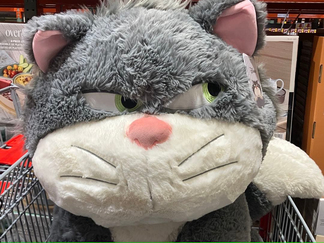 コストコ　ルシファー　特大　ぬいぐるみ　ブランケット付き プレゼント ラスト1