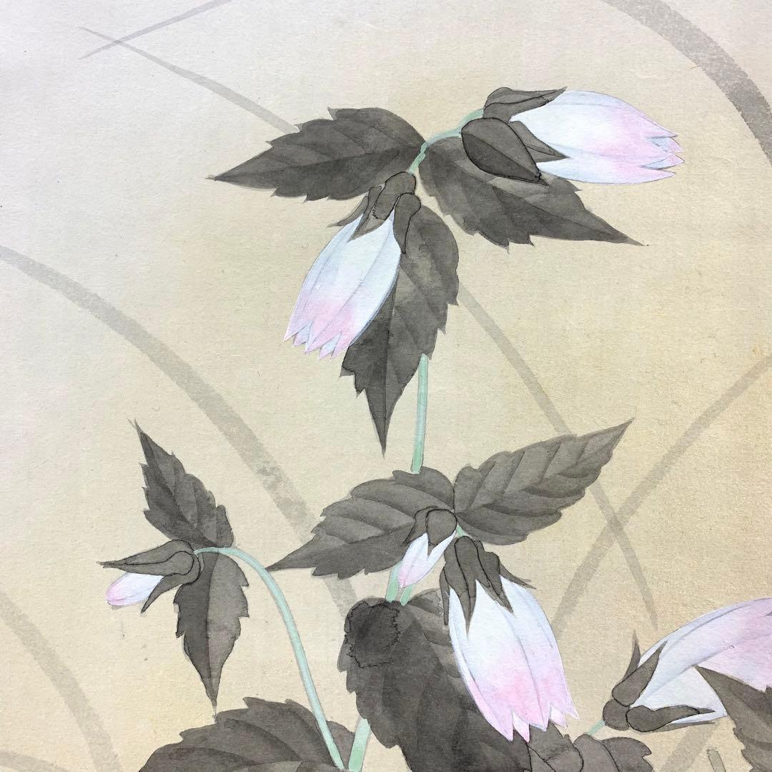 掛軸 宮本昌雄 ほたるぶくろ 共箱 花 植物 6月