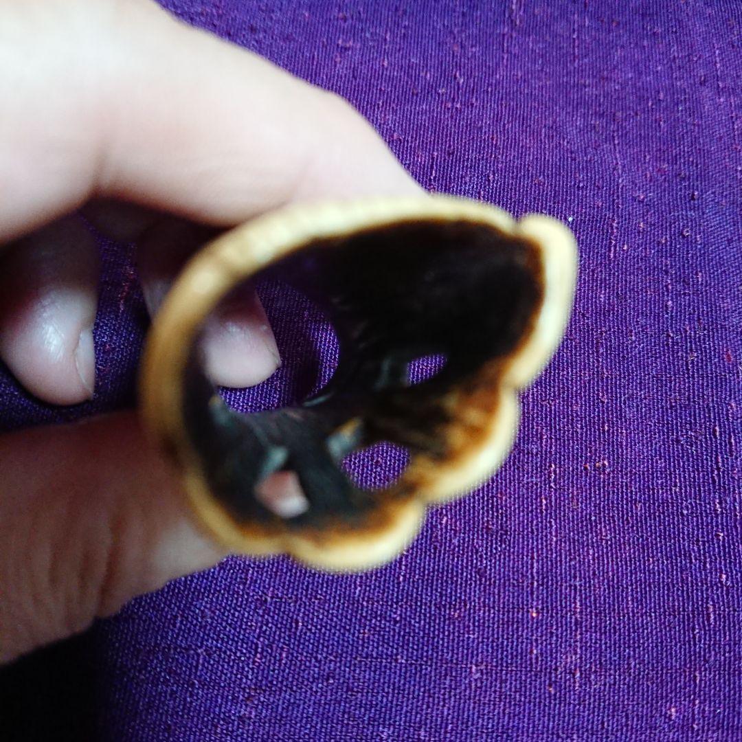 すいせんの図の根付け