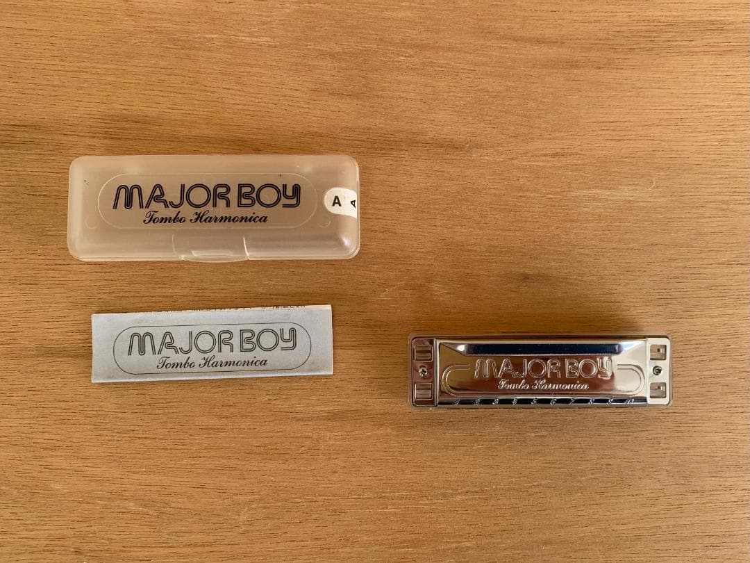 銀座 山野楽器 別注 スケルトン 限定モデル 10ホール Key-A