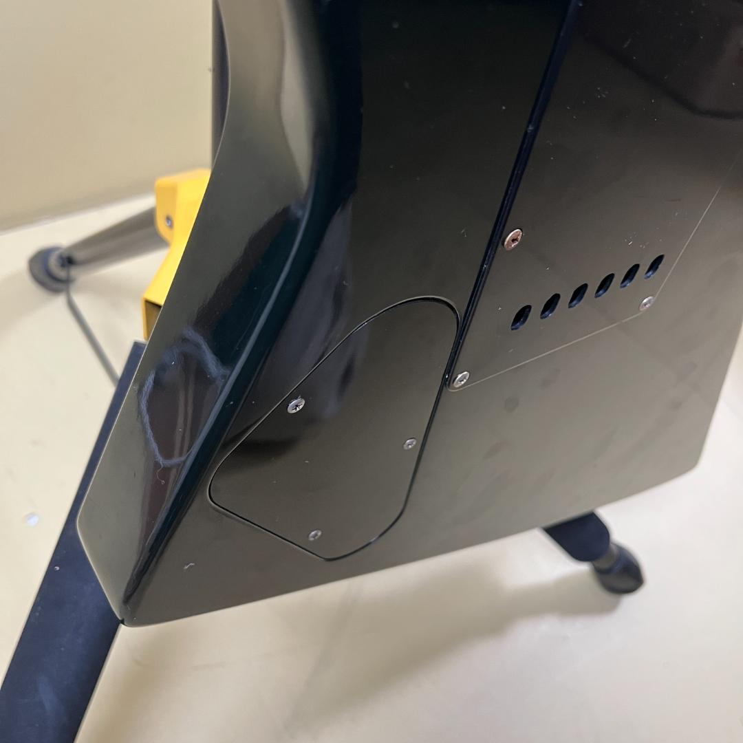 Aria Pro Ⅱ ZZ Custom 1984年製 Black White