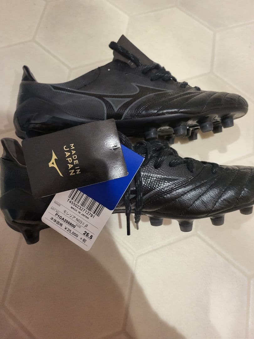 モレリアネオⅡβ