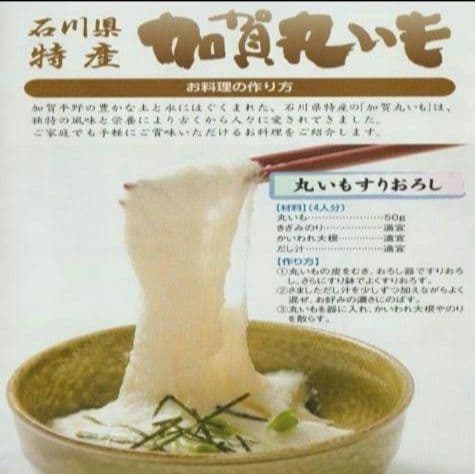 業務用 最安値 石川県 加賀 丸いも ワケあり 小玉 10キロ (山芋)