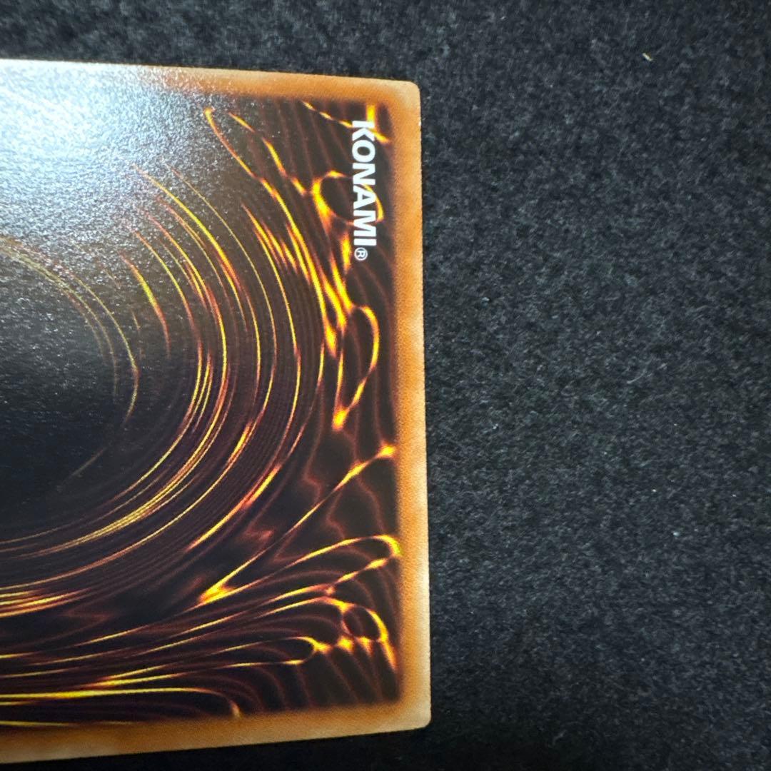 ナチュルビースト DTCシク